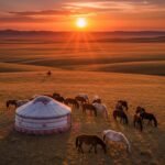 local travel tips Mongolia - panoramic steppe with ger and horses