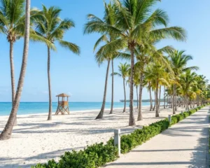 Travel safety tips Dominican Republic: safe and organized resort environment with beach and palm trees